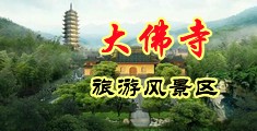 我要操骚穴视频中国浙江-新昌大佛寺旅游风景区